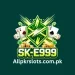 SK E999 Game